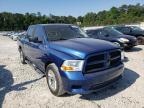 DODGE RAM 1500 2009 foto