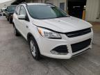 2014 FORD  ESCAPE