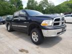 DODGE RAM 1500 2009 foto