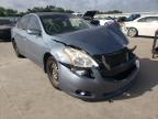 2010 NISSAN  ALTIMA