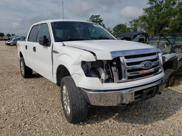 Ford F-150 salvage cars for sale: 2010 Ford F-150
