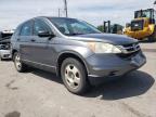 2010 HONDA  CRV