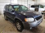 2004 FORD  ESCAPE