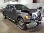 2009 FORD  F-150