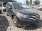 2013 HONDA  CRV