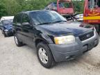 2004 FORD  ESCAPE