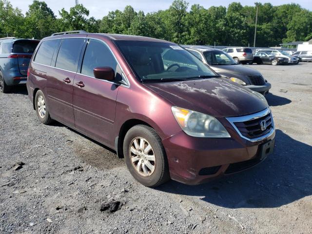 Salvage cars for sale from Copart York Haven, PA: 2010 Honda Odyssey EX