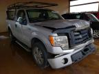 2010 FORD  F150