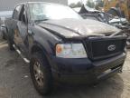 2006 FORD  F-150