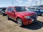 2008 FORD  ESCAPE