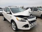 2013 FORD  ESCAPE