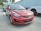 2014 HYUNDAI  ELANTRA