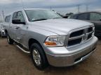 DODGE RAM 1500 2009 foto