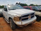 DODGE RAM 1500 2009 foto