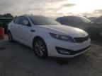 2013 KIA  OPTIMA