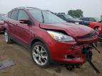 2014 FORD  ESCAPE