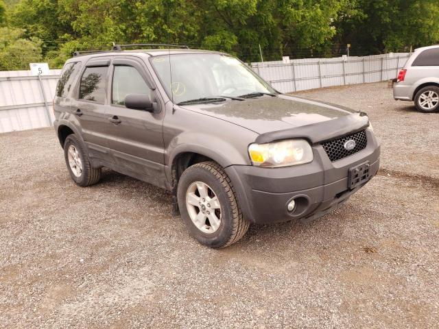 Salvage cars for sale from Copart Ontario Auction, ON: 2006 Ford Escape XLT
