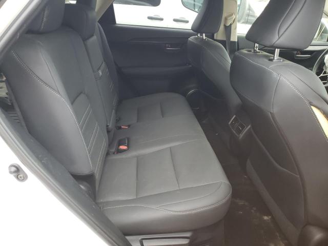 2021 LEXUS NX 300H BA JTJGJRDZ3M5014604