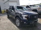 2017 FORD  F-150