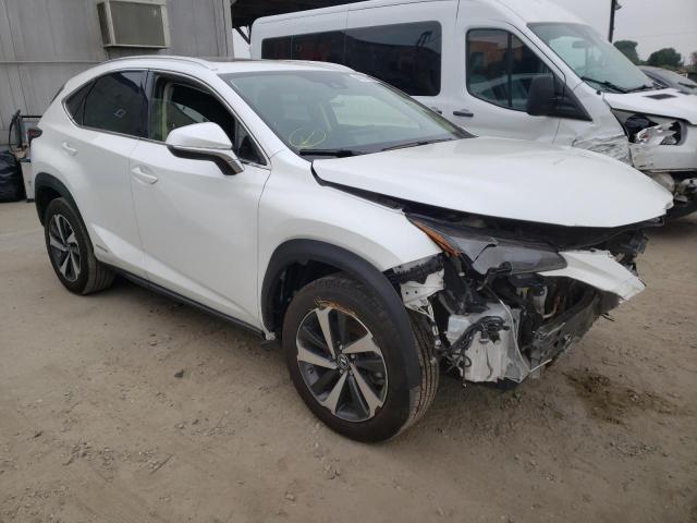 2021 LEXUS NX 300H BA JTJGJRDZ3M5014604