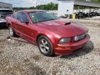 2007 FORD  MUSTANG