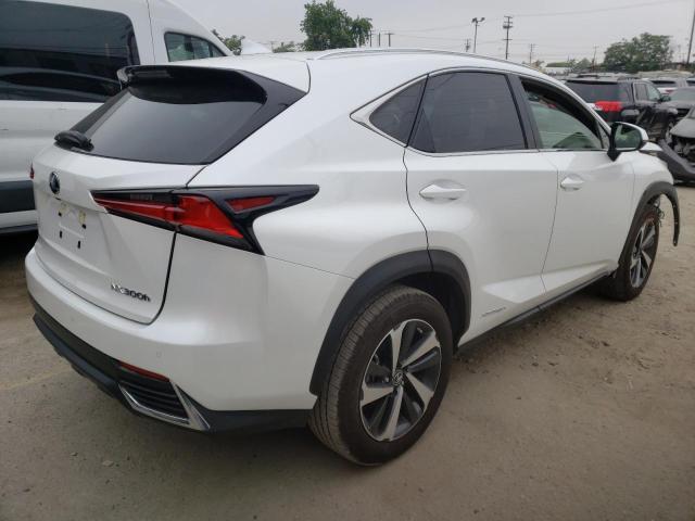 2021 LEXUS NX 300H BA JTJGJRDZ3M5014604