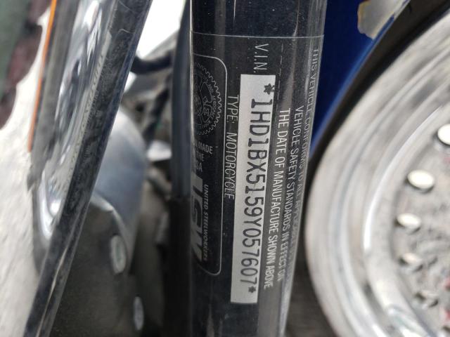 2009 HARLEY-DAVIDSON FLSTF 1HD1BX5159Y057607