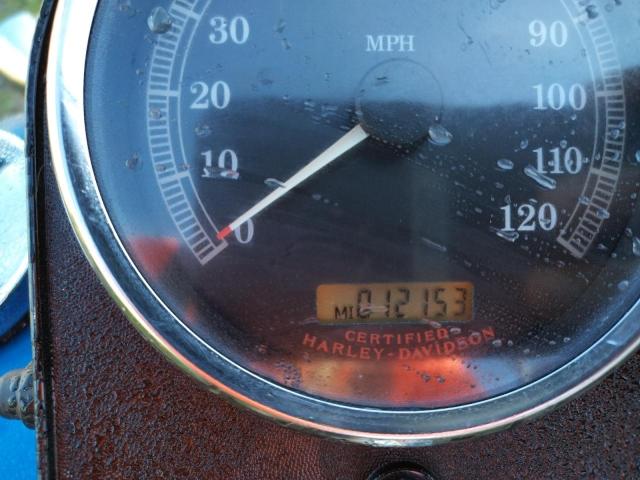 2004 HARLEY-DAVIDSON FLSTF 1HD1BMY174Y080423