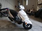 2019 ZHNG  SCOOTER