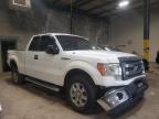 2013 FORD  F-150