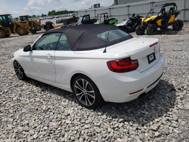 2015 BMW 228 I WBA1K5C53FV242731