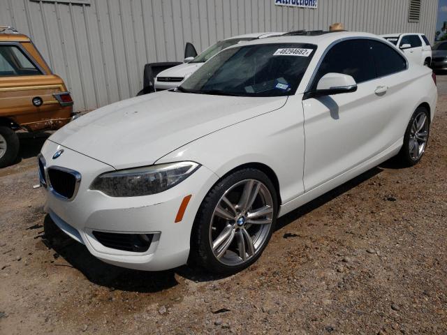 2015 BMW 228 I WBA1F5C52FV256561