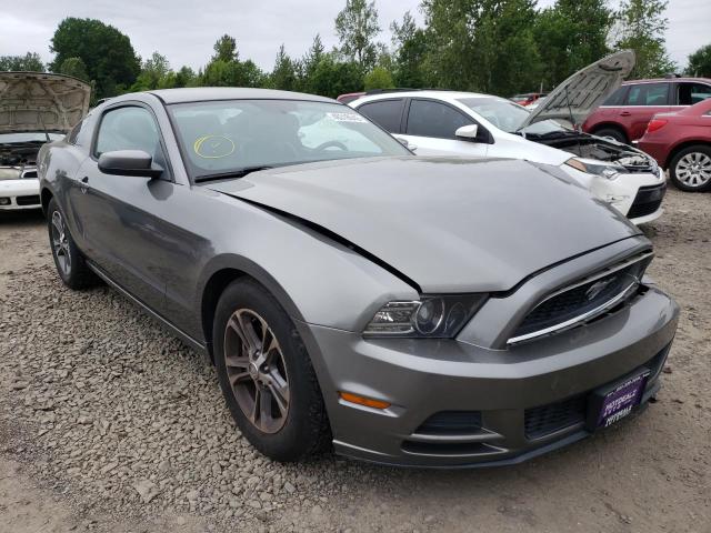 2013 Ford Mustang 