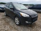 2013 FORD  ESCAPE