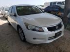 2010 HONDA  ACCORD