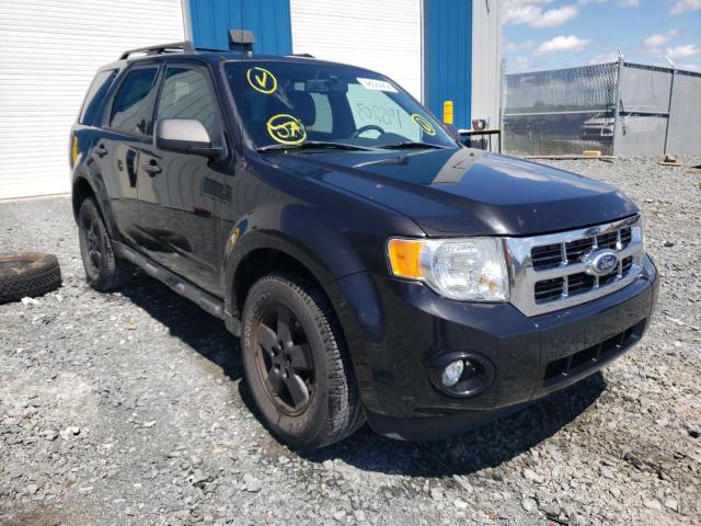 Salvage cars for sale from Copart Elmsdale, NS: 2011 Ford Escape XLT