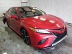 2019 TOYOTA  CAMRY