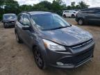 2013 FORD  ESCAPE