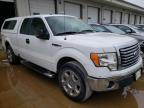 2010 FORD  F-150