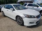 2013 HONDA  ACCORD