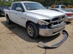 DODGE RAM 1500 2010 foto