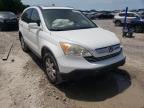 2007 HONDA  CRV