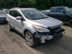 2013 FORD  ESCAPE