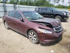 2010 HONDA  ACCORD