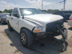 DODGE RAM 1500 2010 foto