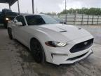 2019 FORD  MUSTANG