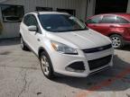 2013 FORD  ESCAPE