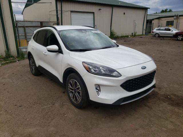 Salvage cars for sale from Copart Ham Lake, MN: 2020 Ford Escape SEL