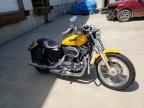 photo HARLEY-DAVIDSON XL1200 L 2007