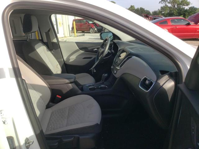 2019 CHEVROLET EQUINOX LS - 2GNAXHEV4K6135521